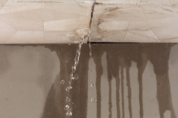 Professional Structural Drying technician working in Clintonville, PA